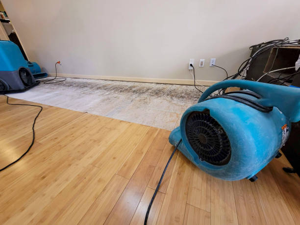 Professional Water Damage Repair technician working in Pacific Palisades, CA